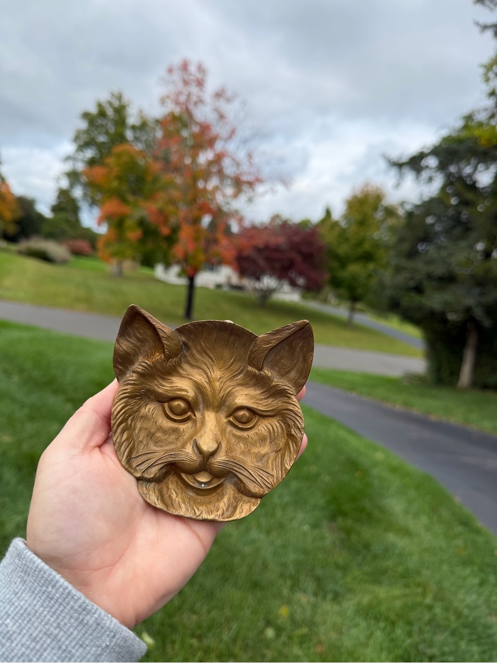 Vintage Brass Cat Face Trinket Dish
